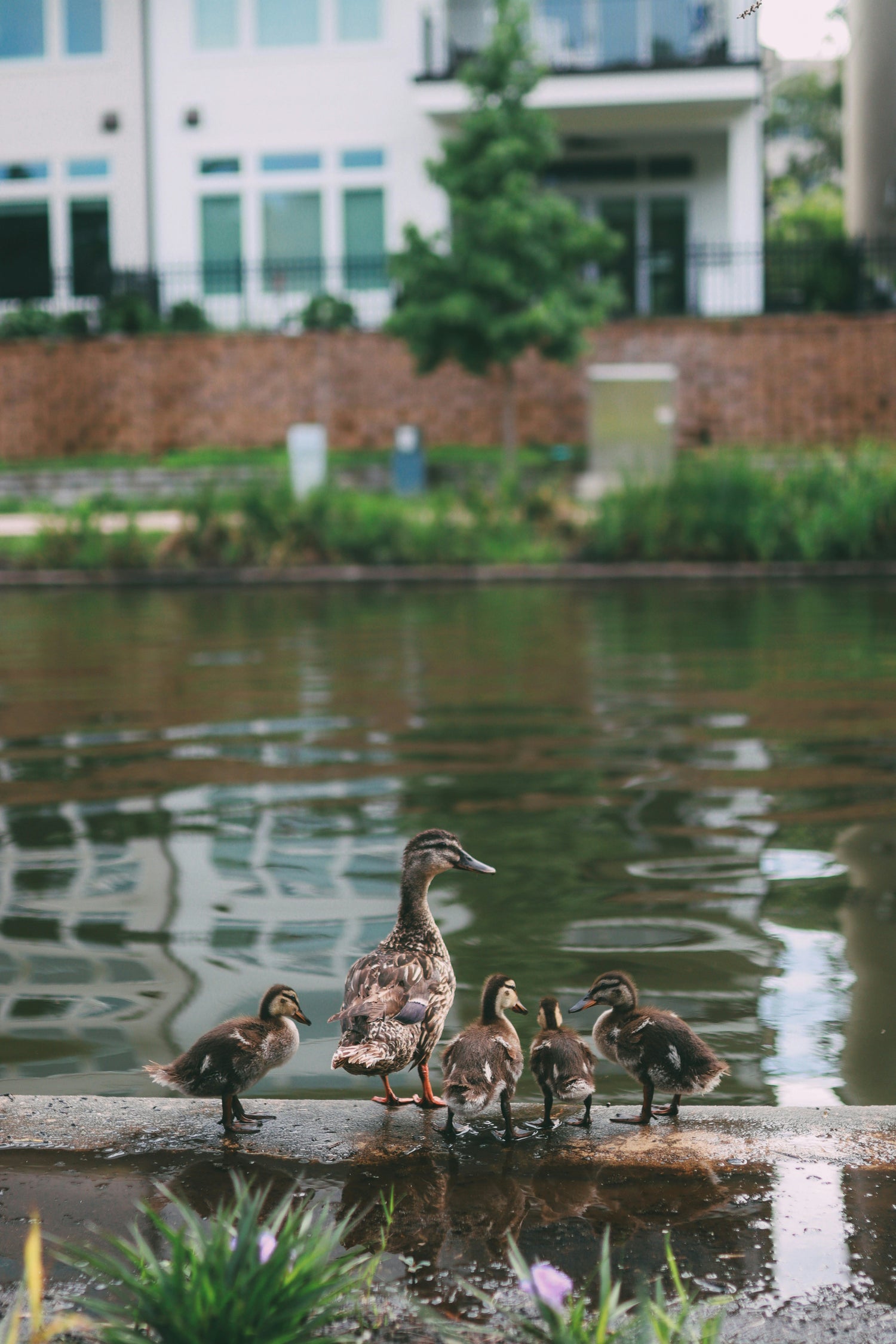 Family Matching Outfits