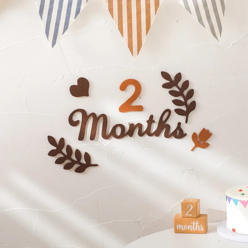 Baby Monthly Milestone Cards