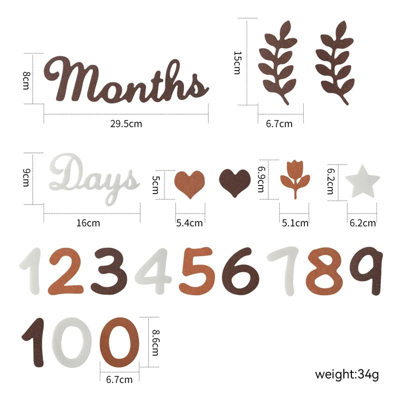 Baby Monthly Milestone Cards