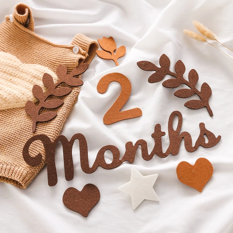 Baby Monthly Milestone Cards