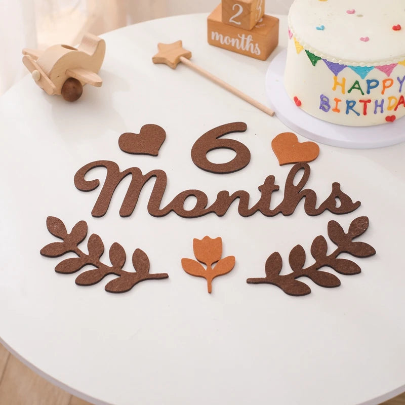 Baby Monthly Milestone Cards