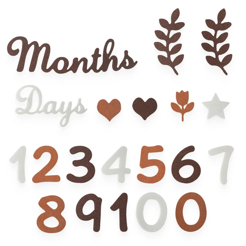 Baby Monthly Milestone Cards